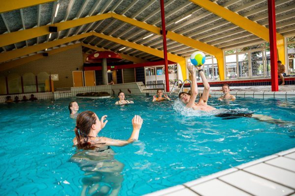 Verwarmd binnenzwembad met kinderbadje op de Veluwe