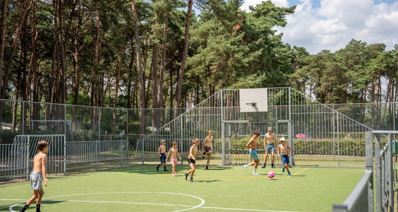 Goolderheide prosuco lr 165