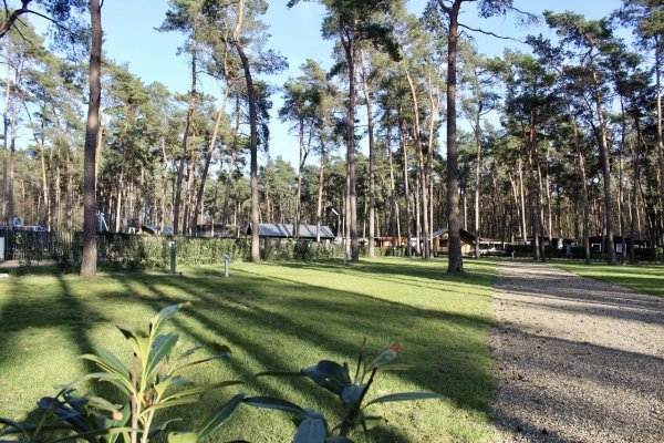 Half of eind augustus nog op kampeervakantie? Er zijn nog een aantal kampeerplaatsen beschikbaar op Familiepark Goolderheide!